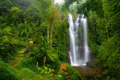The Munduk waterfall cascades down a mossy rock face, surrounded by a lush green jungle of bamboo and tropical plants in the cool-climate highlands of North Bali.