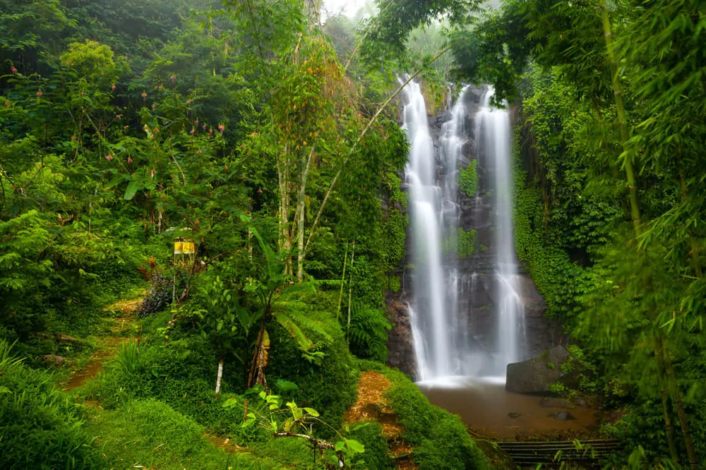 The Munduk waterfall cascades down a mossy rock face, surrounded by a lush green jungle of bamboo and tropical plants in the cool-climate highlands of North Bali.