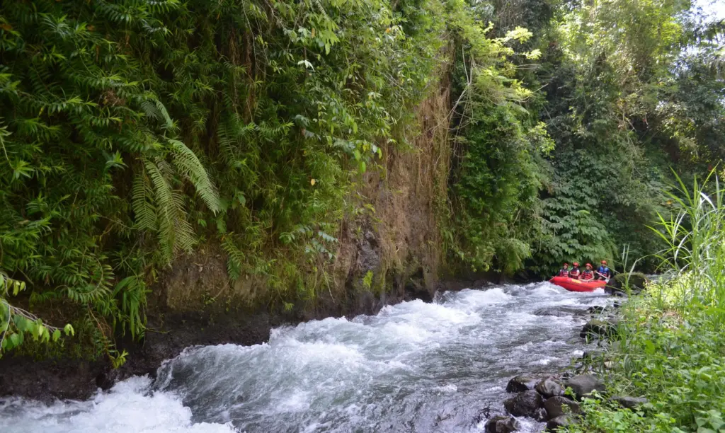 Group of adventurers rafting on the Ayung River in Bali surrounded by lush jungle, part of a 3-day Bali adventure itinerary