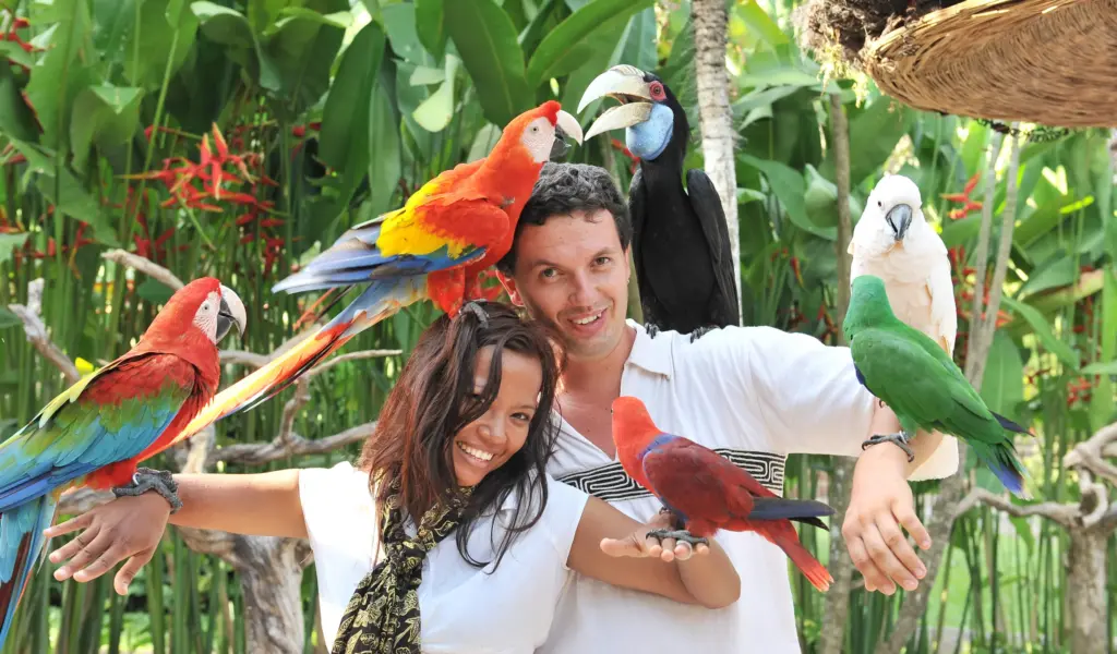 A happy couple, a man and a woman, are surrounded by multiple colorful birds, including macaws and a rhinoceros hornbill, as they smile for a photo at Bali Bird Park.