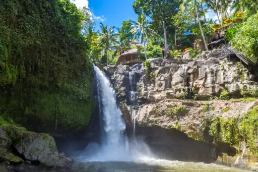 A wide-angle view of the Tegenungan Waterfall cascading into a pool surrounded by lush green jungle foliage, palm trees, and rocks under a bright blue sky.