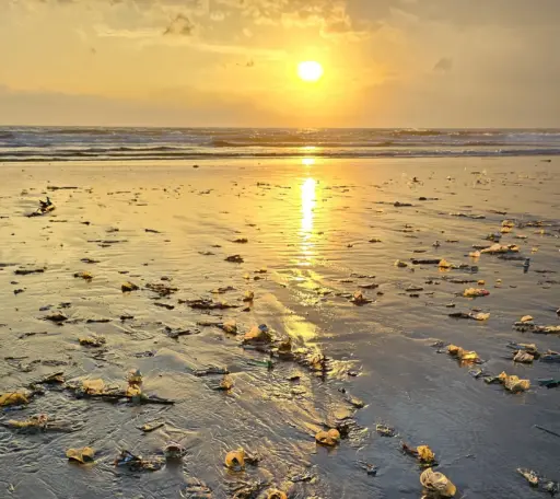 Plastic waste scattered across a Bali beach during sunset, reflecting the environmental impact of tourism